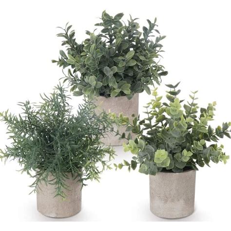 Mini Plantes D Eucalyptus Artificiel En Pot Ilauke Lot De 3 Mini