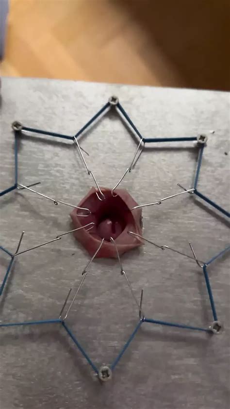 Oil Lubrication Gay Amateur Amateur Porn Feat Tomku Xhamster