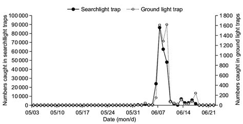 Nightly catch amounts of adult Mythimna separata in searchlight traps ...