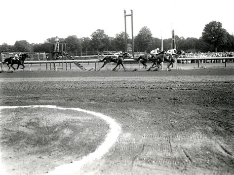 Sword Dancer (VA) | National Museum of Racing and Hall of Fame