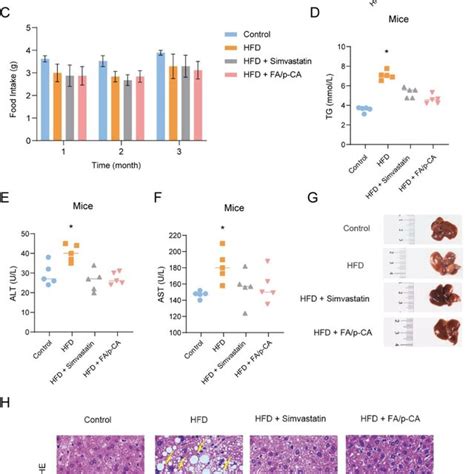 Fa P Ca Attenuate Hfd Induced Hepatic Injury And Steatosis In Vivo A