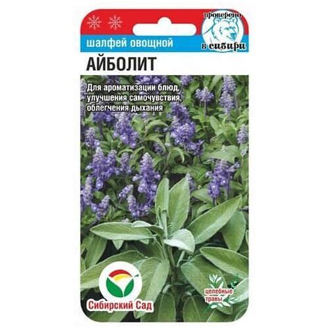Шалфей овощной Айболит Сибирский сад (98185): купить семена почтой в ...