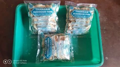 Tamil Nadu Organic Oyster Mushroom Packaging Type Pp Bag Packaging