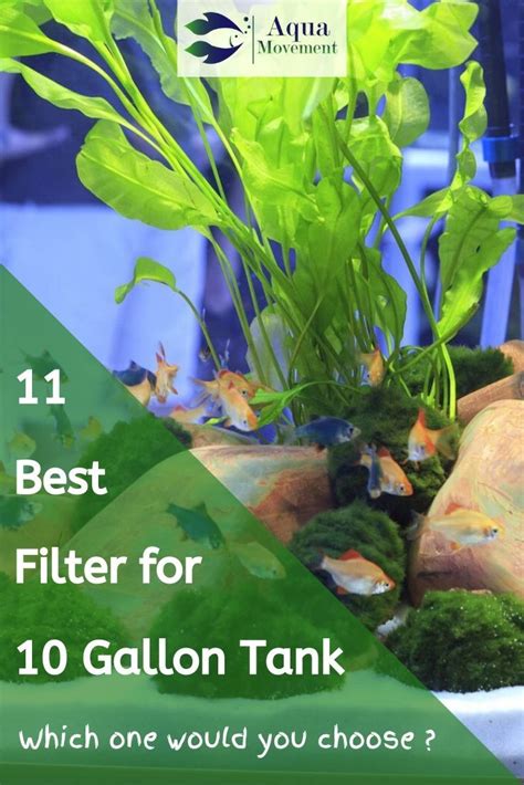 11 Best Filter For 10 Gallon Fish Tank Reviewed | Aqua Movement | 10 ...