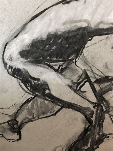 ORIGINAL Charcoal Drawing Nude Male Figure Study Large Life Etsy