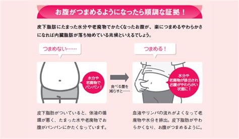 お腹がつまめるようになったらダイエットが順調な証拠な理由とは？！【図解 内臓脂肪がごっそり落ちる食事術】 ラブすぽ