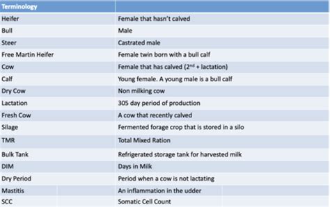 Ansc Dairy Cattle Flashcards Quizlet