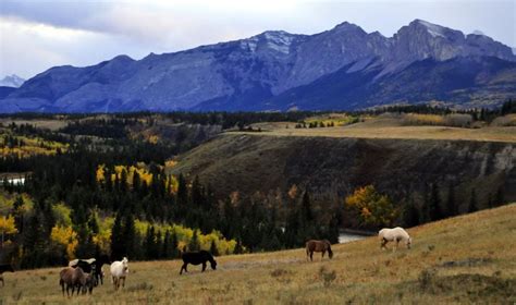 Legends of he fall Montana | Natural landmarks, Landmarks, Travel