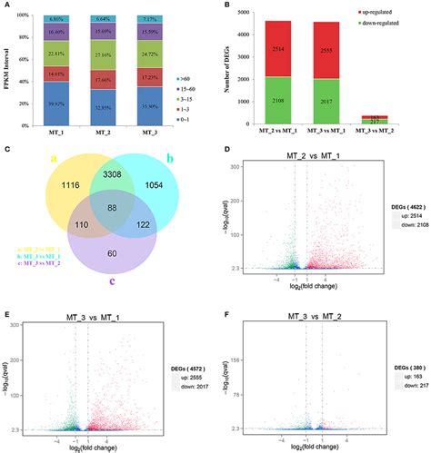 Frontiers Molecular And Cellular Mechanisms Of Apoptosis During