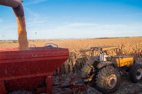 Agronegócio goiano gera empregos para mais de 1 milhão de pessoas em