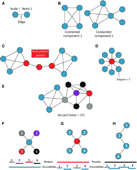 Basic Topologies Found In Sequence Similarity Networks A Nodes