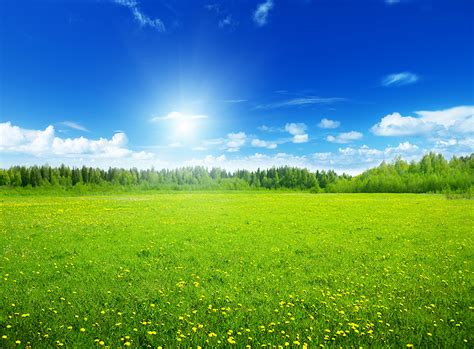 Image Summer Nature Sky Scenery Grasslands