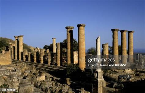 Grecs Photos And Premium High Res Pictures Getty Images