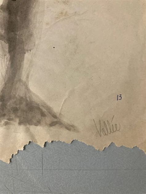 VERY NICE DRAWING Lavis Ink Naked Woman Standing Bare Back Erotic 1960 A 180 03 PicClick AU