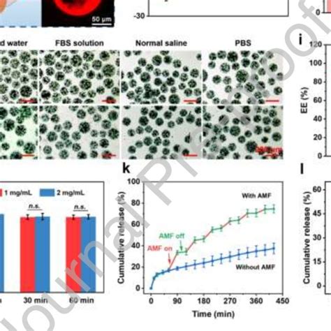 In Vitro Drug Loading And Drug Release Behavior Of Magnetic