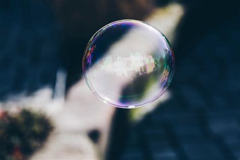 Transparent Photos, Download The BEST Free Transparent Stock Photos ...