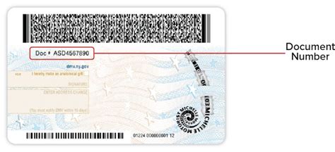 Sample New York State Dmv Photo Documents