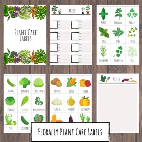 Free Printable Garden Labels For Plants - Printable Word Searches