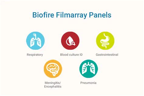 Understanding BioFire FilmArray Types And Functions Helvetica