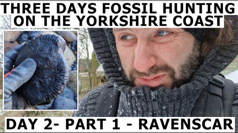 3 DAYS Fossilhunting ON THE Yorkshirecoast FINDING Jurassic Fossils