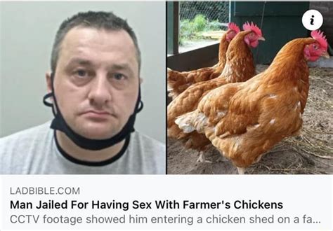 SADE Man Jailed For Having Sex With Farmer S Chickens CCTV Footaae Showed Him Entering A