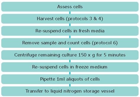 Freezing Cells - campestre.al.gov.br