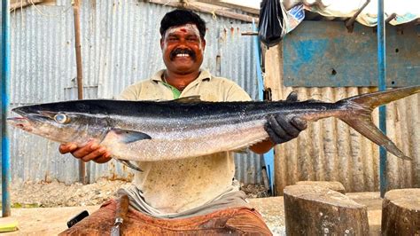 Kasimedu Cheetah Durai Rare Poonguzhali Fish Cutting In Kasimedu