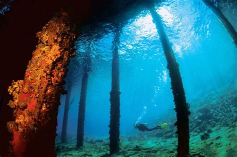 Get Deep: 5 Underwater Attractions | TravelPulse