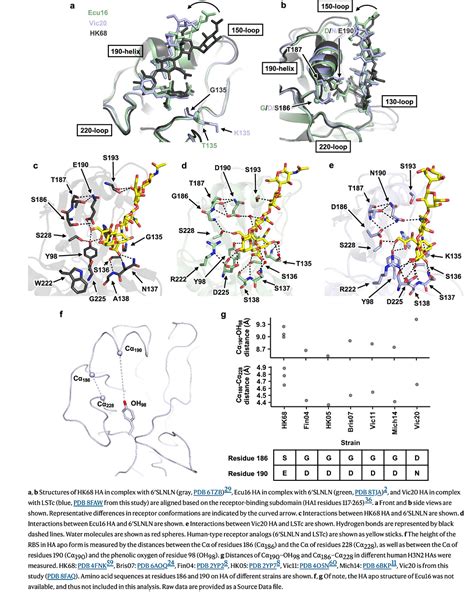 Epistasis Mediates The Evolution Of The Receptor Binding Mode In Recent