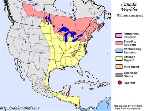 Canada Warbler - Species Range Map