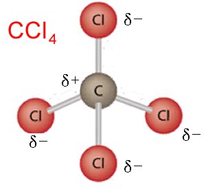 Which Diagram Best Represents A Polar Molecule - General Wiring Diagram