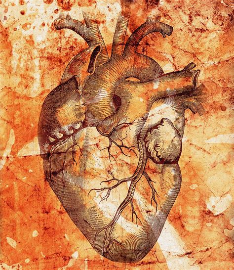 Unhealthy Heart Photograph By Mehau Kulyk Fine Art America