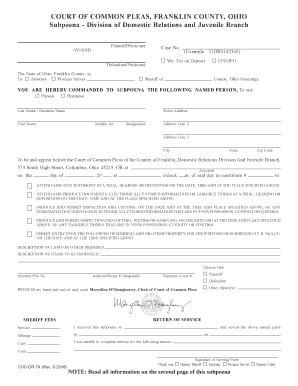 COURT Of COMMON PLEAS FRANKLIN COUNTY OHIO Form Fill Out And Sign