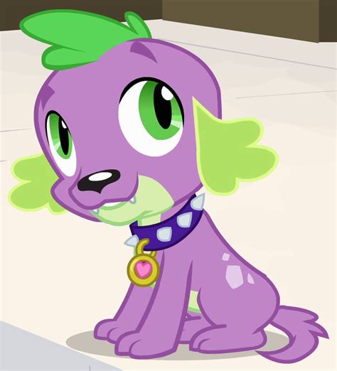 Spike My Little Pony Friendship Is Magic Wiki Fandom Powered By Wikia