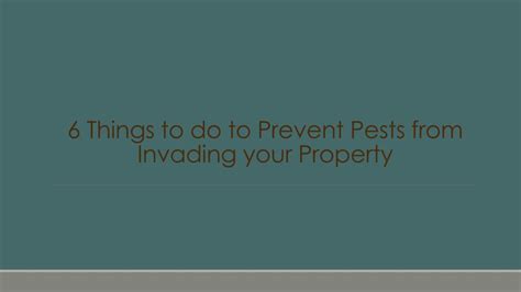 PPT 6 Things To Do To Prevent Pests From Invading Your Property