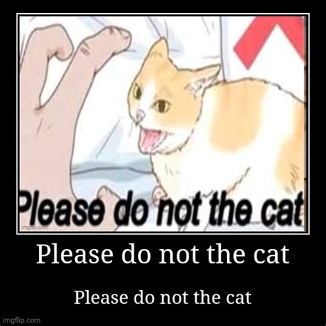 Please Do Not The Cat Imgflip