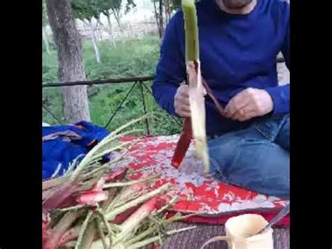 Чукури 😍 - YouTube