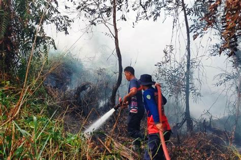 Bmkg Titik Panas Terdeteksi Di Kaltim Antara News