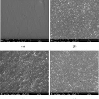 Fesem Cross Section Images Of The Cnts Pdms Membrane A Pdms B Cnt