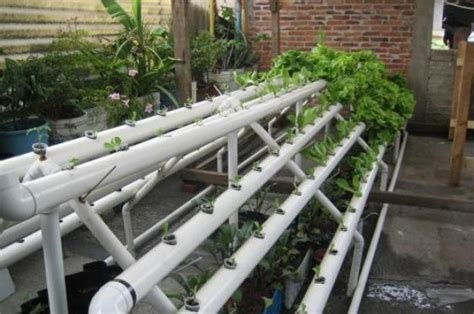 Una técnica innovadora para el cultivo en las ciudades donde los