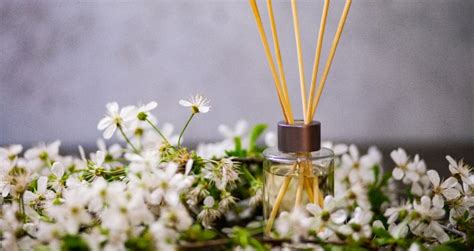 Feast for the senses: the power of scent in the guest experience ...
