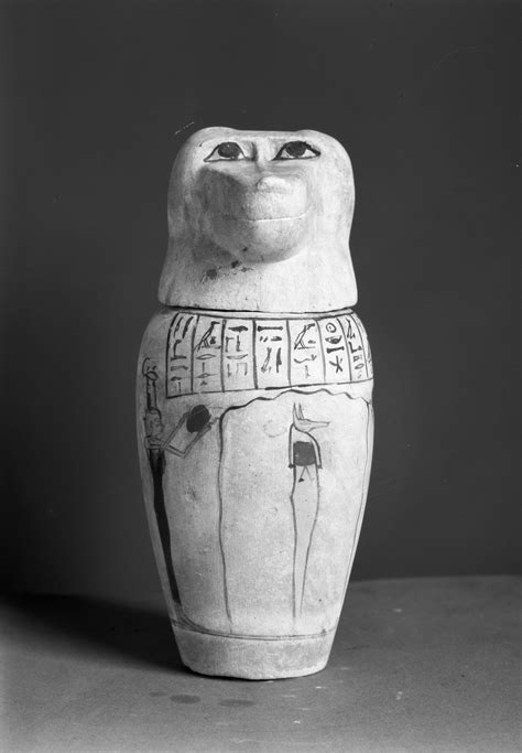 Canopic Jar With Baboon Head The Walters Art Museum