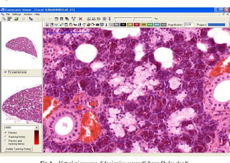 Figure From Use Of Virtual Microscopy To Promote Histology Learning