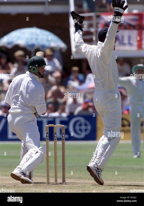 England Wicket Keeper Alec Stewart Reacts To The Catch Taken By Chris