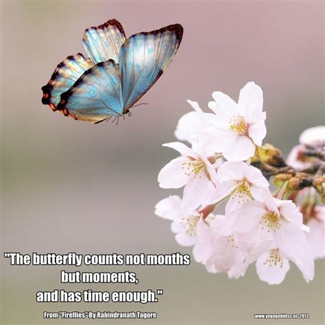 Butterfly Poems And Quotes. QuotesGram