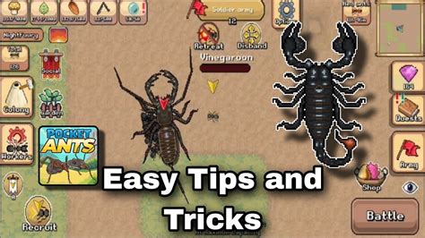 Pocket Ants Tips And Tricks How To Kill Emperor Scorpion Youtube