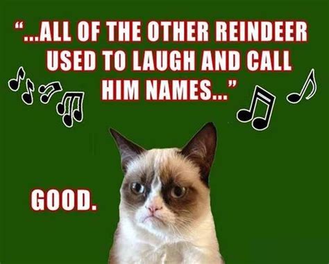 Grumpy Cat Christmas | Fun