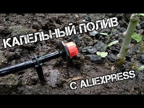 Капельный полив с таймером с Aliexpress - YouTube
