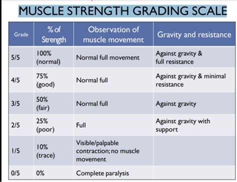 ASSESSMENT OF MUSCULOSKELETAL FUNCTION Flashcards Quizlet