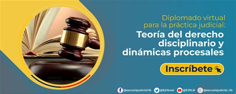 Diplomado Virtual Para La Práctica Judicial “teorÍa Del Derecho